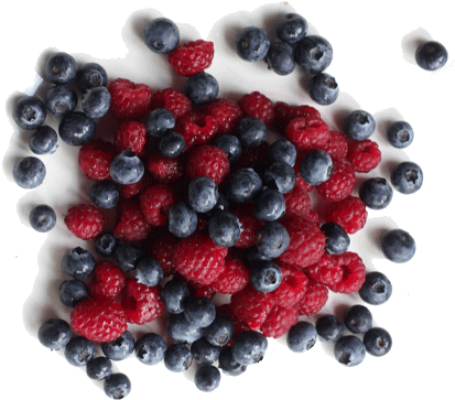 The Magoebaskloof Berry Festival 2017 Will Be Held - Bilberry (488x371), Png Download