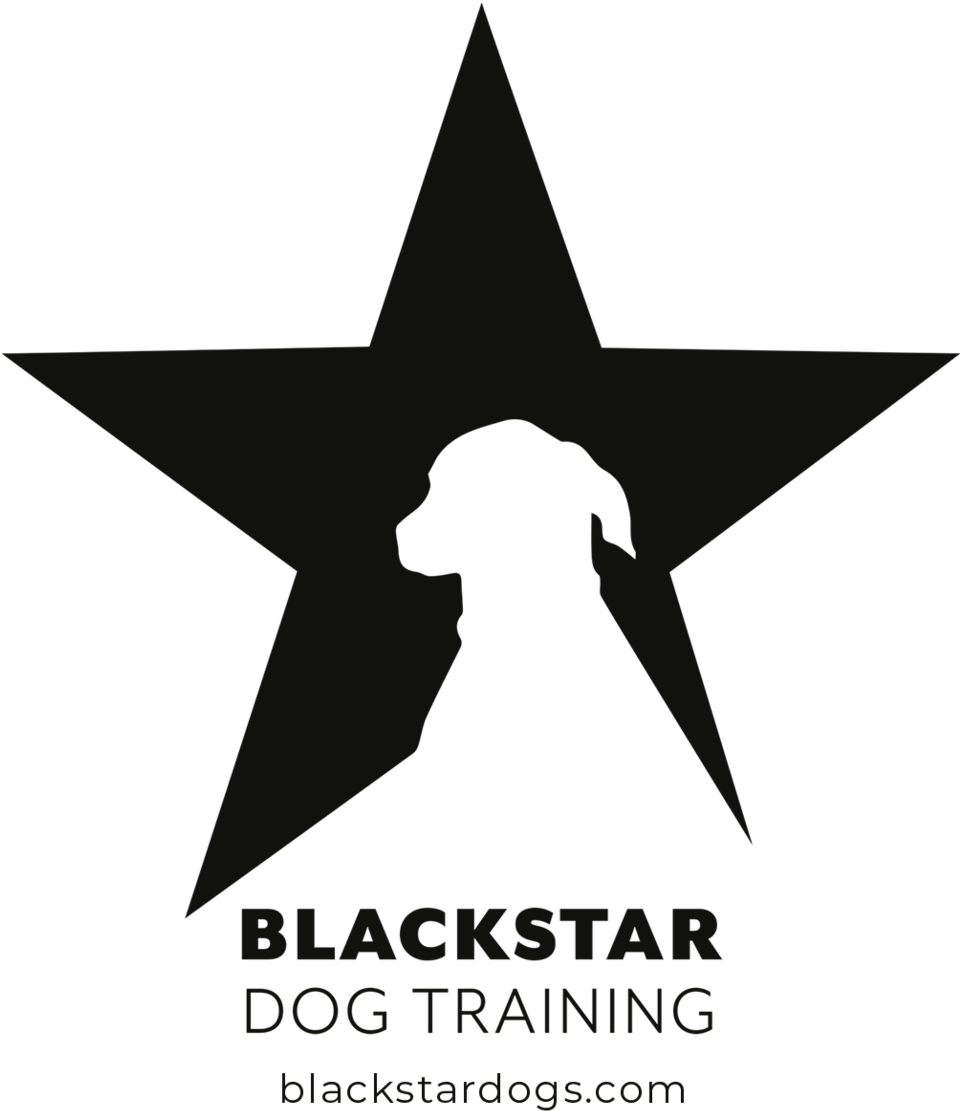 Black Star Png (1000x1201), Png Download