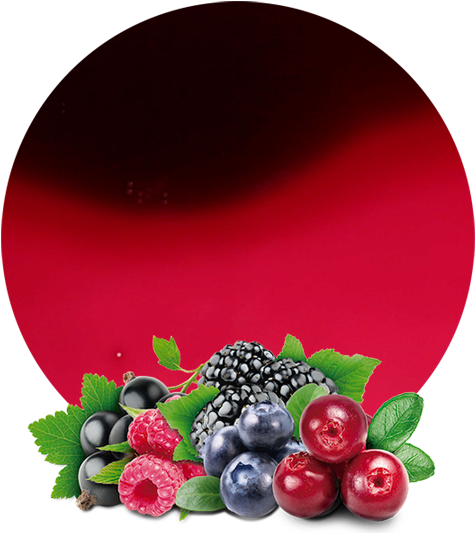Thus, We Obtain A High Quality Wild Berries Concentrate - Chef Masterpiece [three Squirrels Blue Diamond 108g (536x595), Png Download