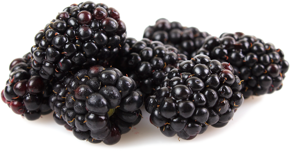 Kotata Blackberries - Black Pepper Free Png (1000x1000), Png Download