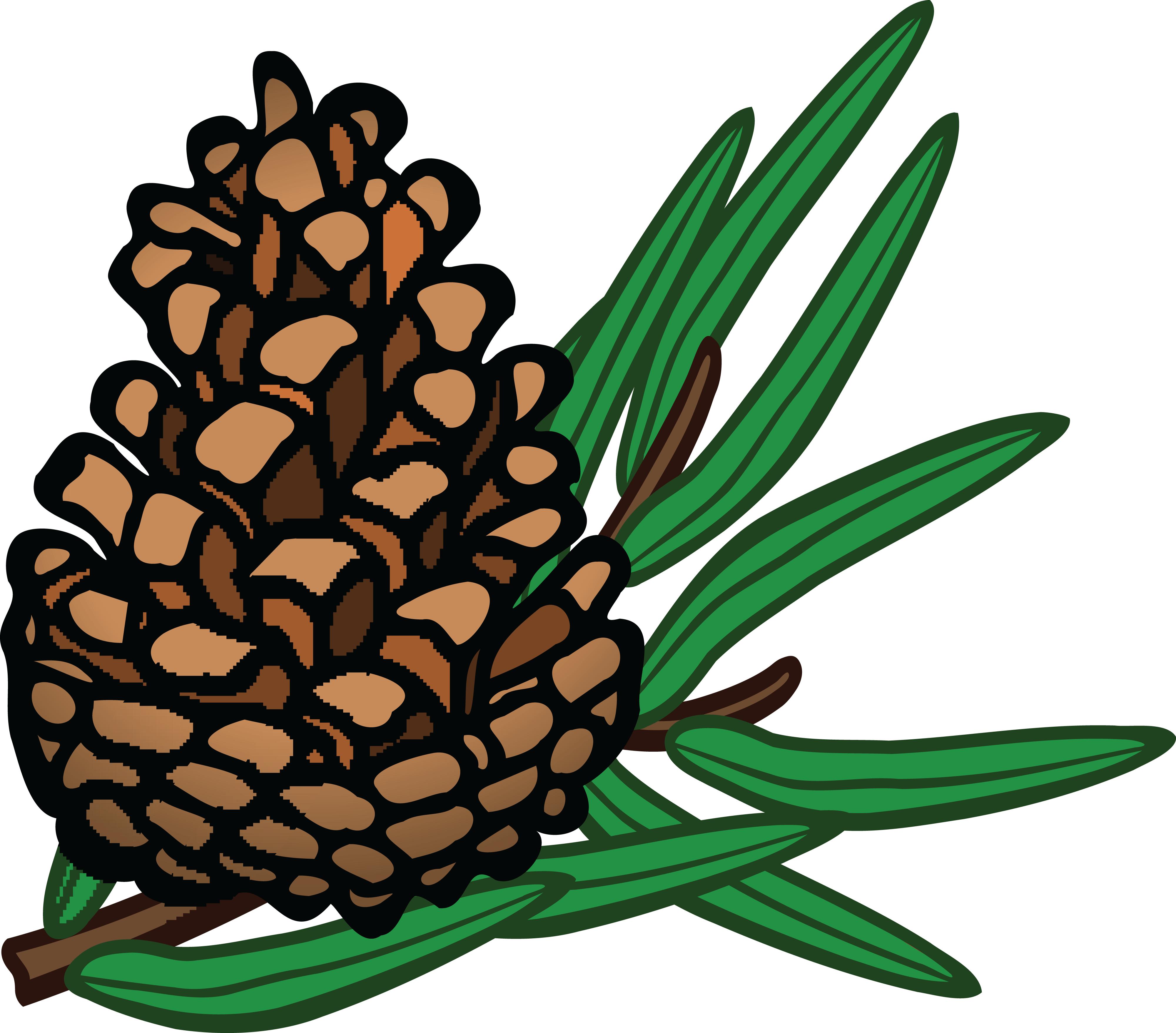 , , - Pinecone Clipart (4000x3514), Png Download