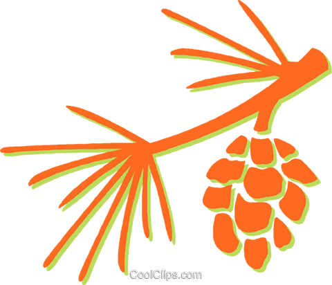 Pine Leaves And Pinecone Royalty Free Vector Clip Art (480x412), Png Download