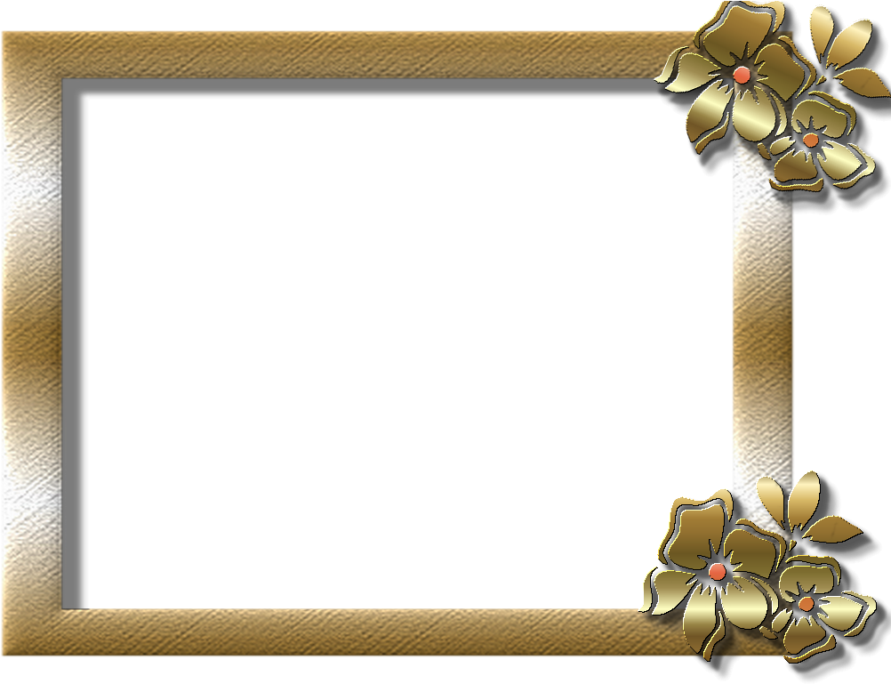 Metals, Frames, Frame, Picture Frames - Picture Frame (1024x768), Png Download