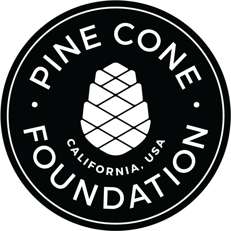 Pinecone Png (1000x1005), Png Download