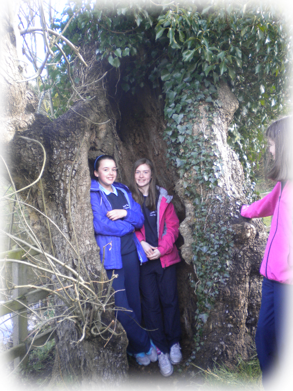 Willow (604x805), Png Download