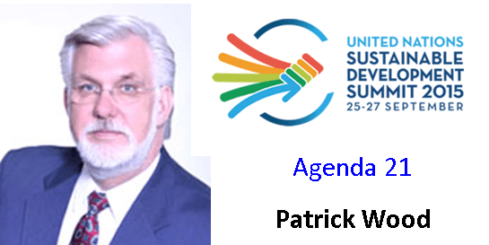 Patwood-agenda21 - Sustainable Development Goals (545x273), Png Download