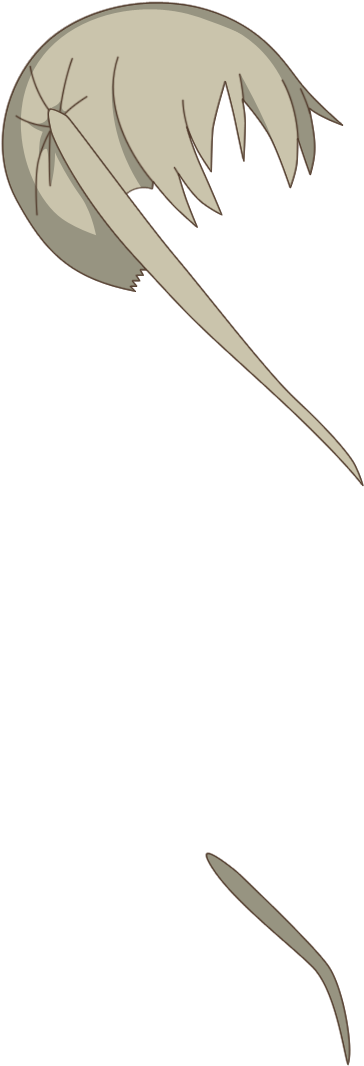 2299 Black Star 05 Aug 2017 - Maka Albarn (1200x1200), Png Download