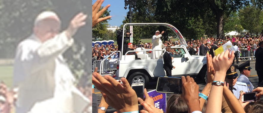 Local Church Takes Pilgrimage To The Papal Parade - Safari (885x380), Png Download