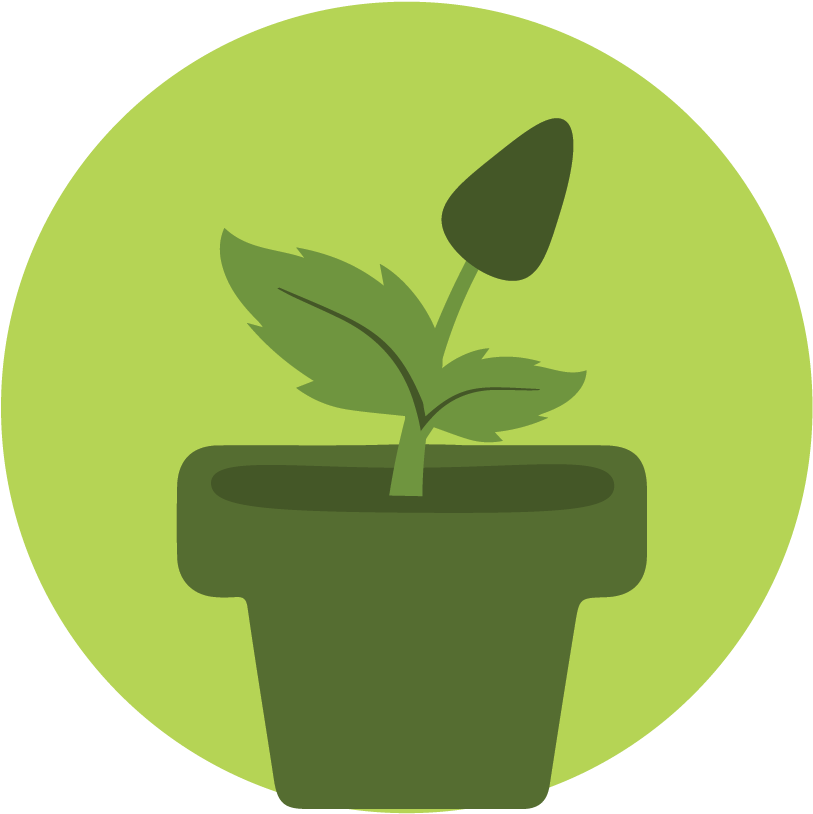 Plant Icon (900x900), Png Download