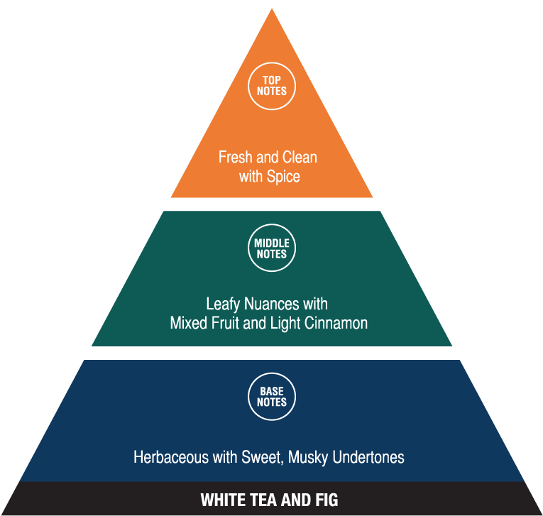 White Tea And Fig - Social Structure Of The Usa (782x734), Png Download