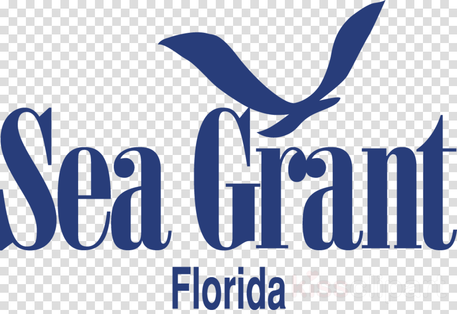 Pattern Clipart Logo Brand Font - Sea Grant Lake Champlain (900x620), Png Download