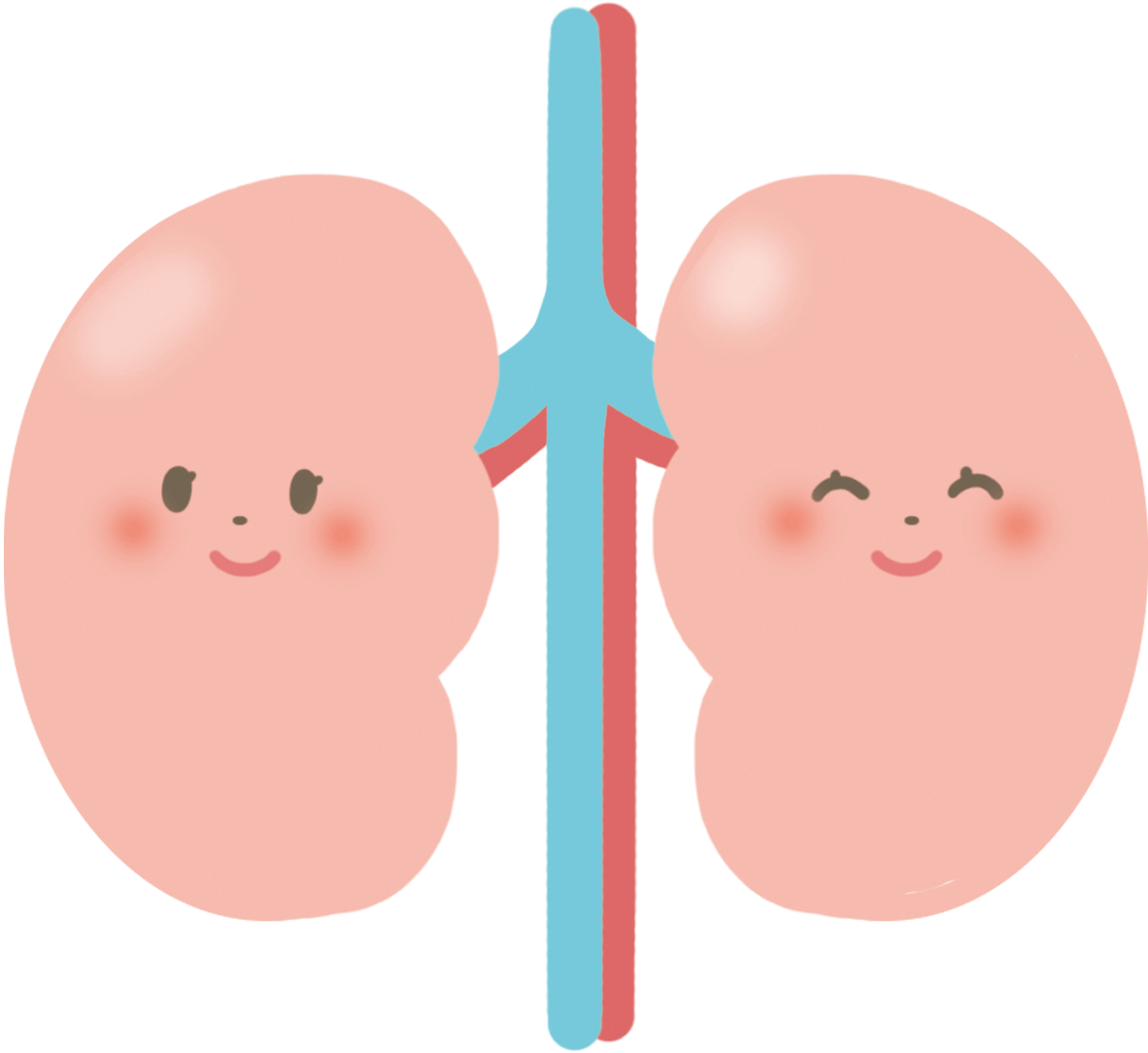 Picture Of Kidney - 腎臓 の イラスト (1200x1200), Png Download
