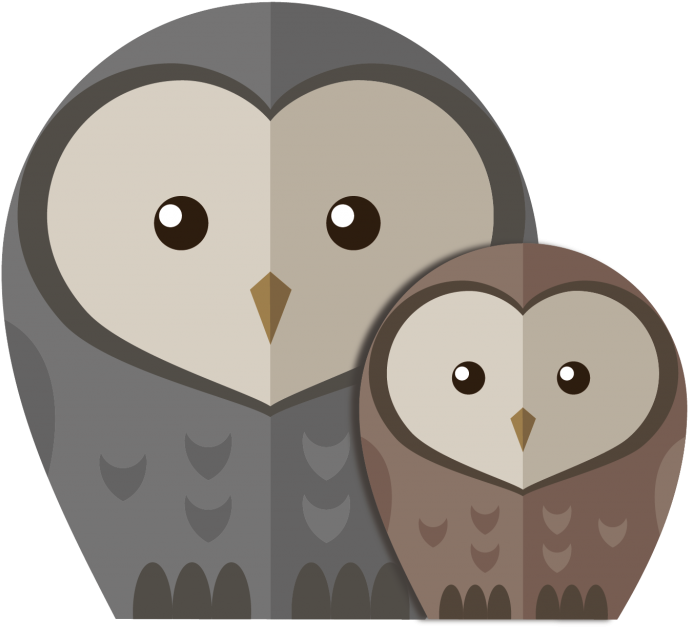 Owls - Owl (1024x748), Png Download