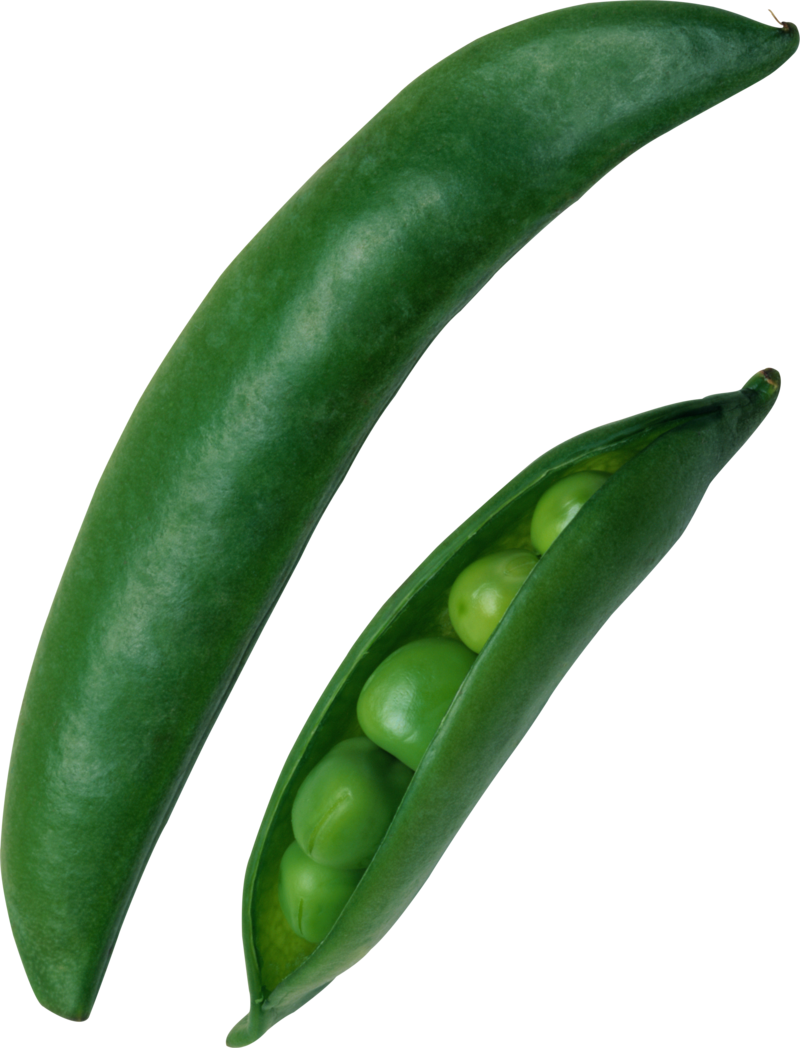 Pea Png, Download Png Image With Transparent Background, - Горох Стручок (800x1048), Png Download