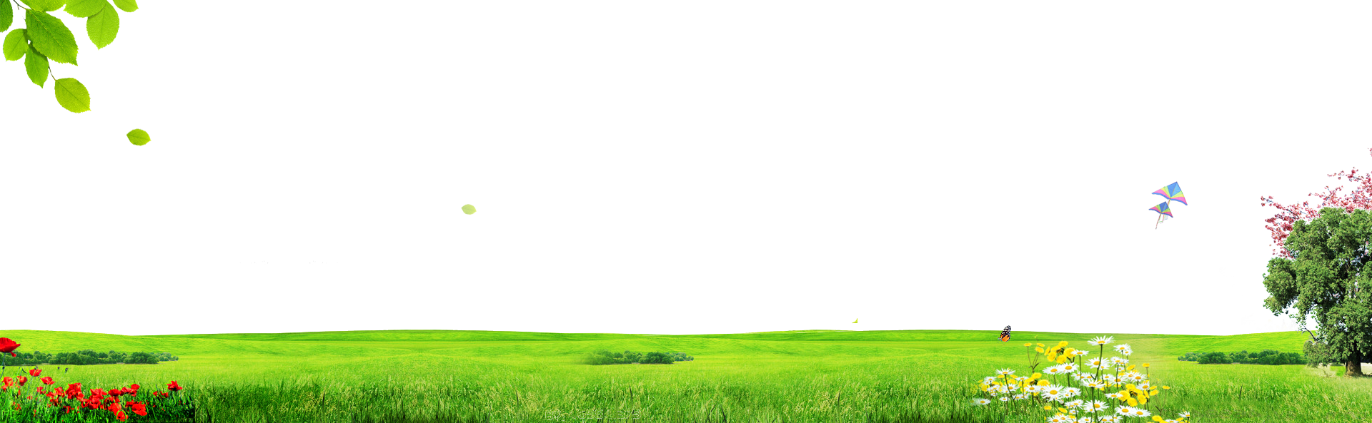 Field (1920x593), Png Download