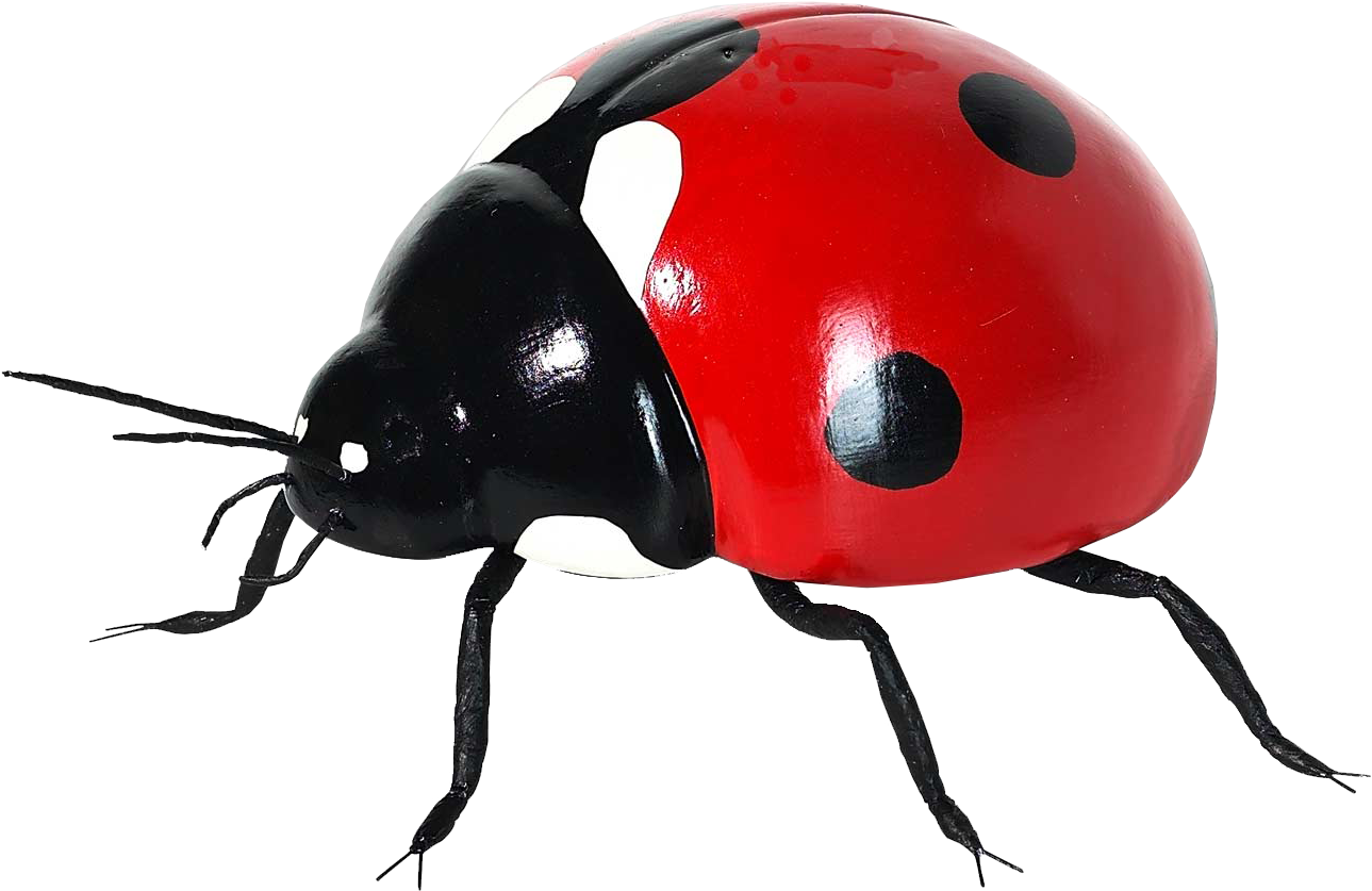 Coccinella Septempunctata Insect Icon Transprent - Seven-spot Ladybird (1309x946), Png Download