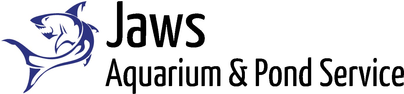 Tax Andaluz (1440x320), Png Download