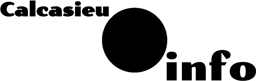 Calcasieu Information - Calcasieu.info (903x347), Png Download
