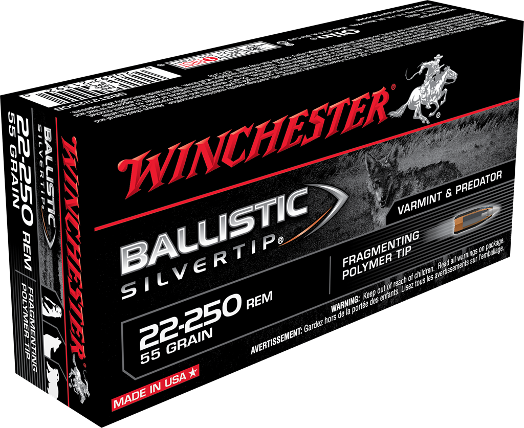 Sbst22250b Box Image - Winchester Ballistic Silvertip 30 30 (1024x837), Png Download
