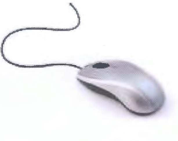 Movietickets - Computer Mouse (613x535), Png Download