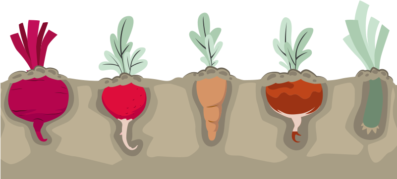 The Mayo Prescription For Good Nutrition - Illustration (800x400), Png Download