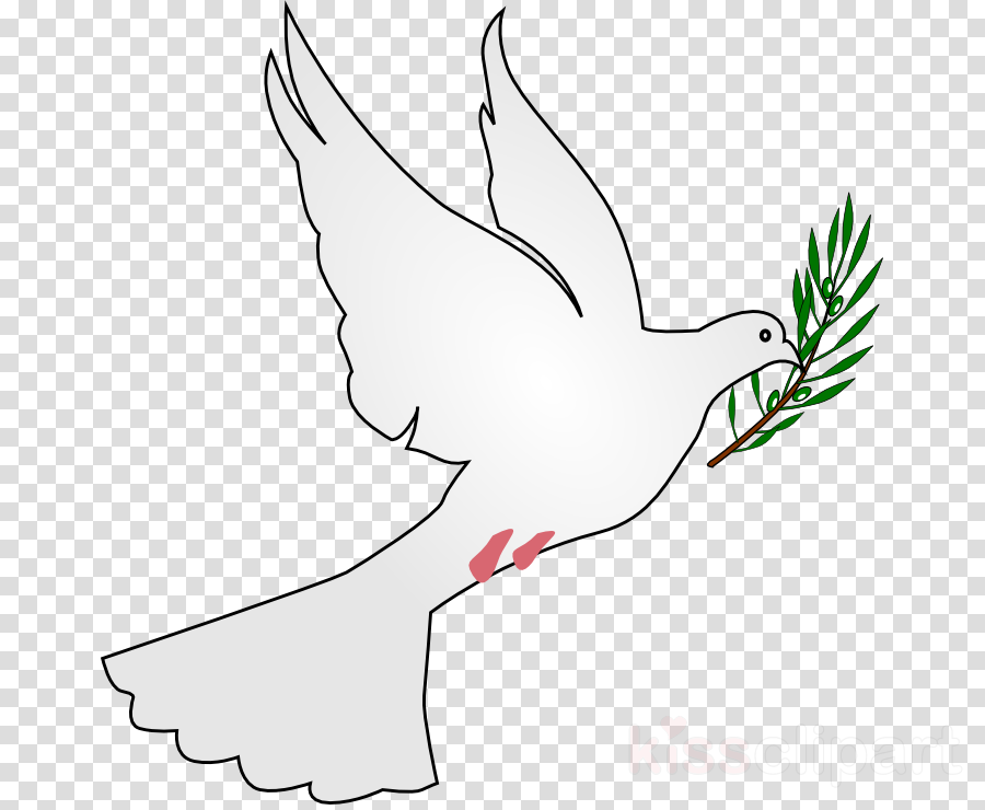 Download Peace Dove Png Clipart Pigeons And Doves Doves - Massage Clip Art (900x740), Png Download