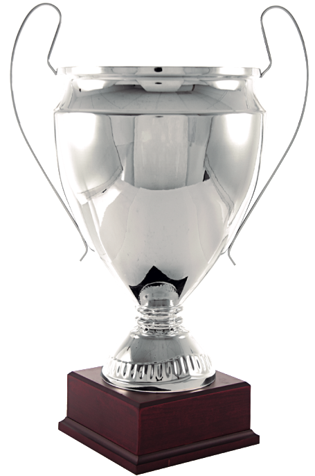 Trofeos Anna-dos - Copas De Plata Png (462x692), Png Download