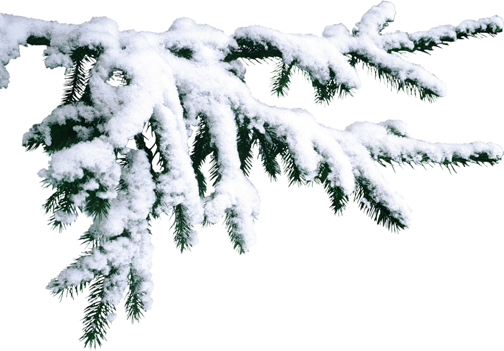 Thumb Image - Saint Petersburg (1024x713), Png Download