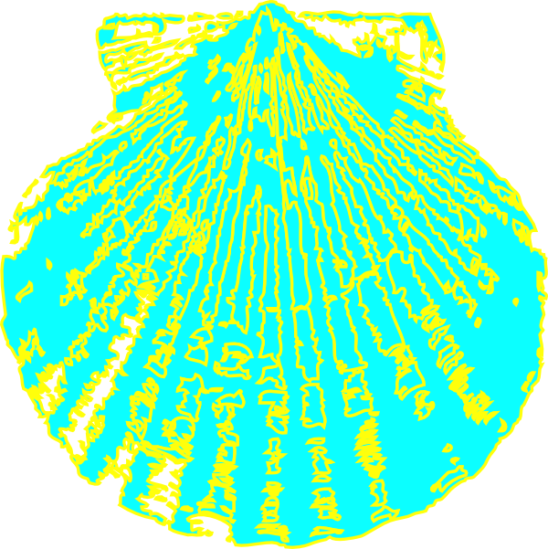 Shell Svg Clip Arts 600 X 601 Px (600x601), Png Download