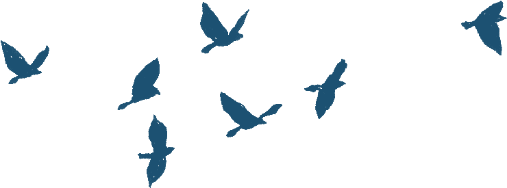 Bird Gif Png - Bird Flying Gif Png (803x387), Png Download