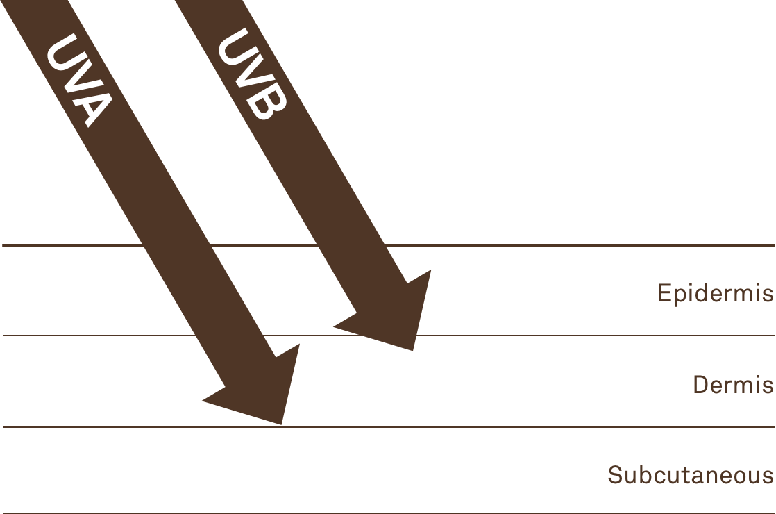 Without Protection, Uva And Uvb Rays Penetrate And - Ultraviolet (1118x740), Png Download