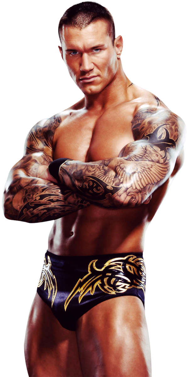 Photo Wallpaper, Hd Wallpaper, Wallpapers, Apex Predator, - Randy Orton (595x1200), Png Download