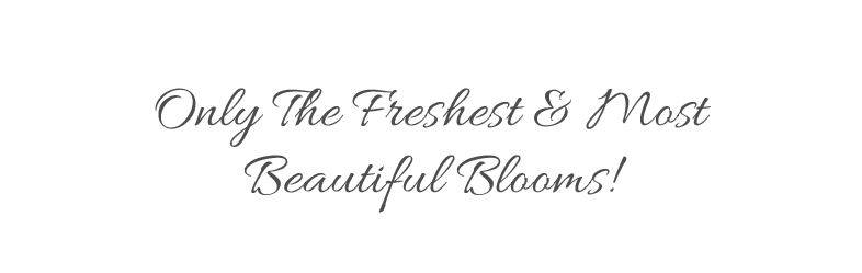 Flower Delivery Cape Town, The Rose Cafe - Calligraphy (1500x430), Png Download