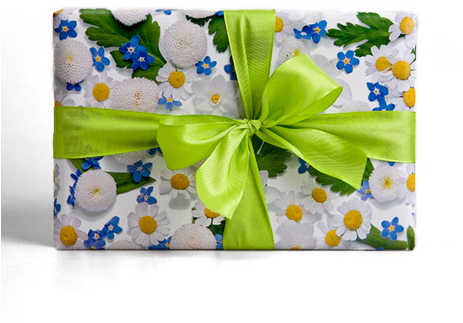 Wildflower (940x370), Png Download