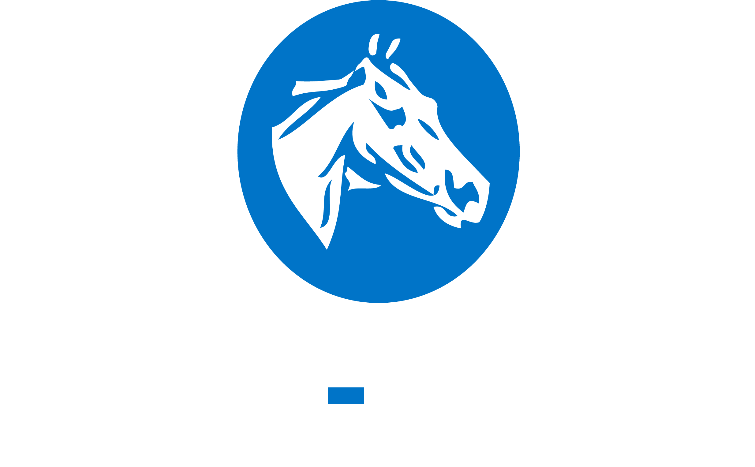 2019 Fasig-tipton Company - Fasig Tipton (2467x1526), Png Download