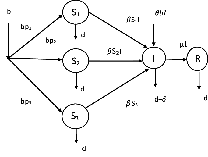 The Flow Of Virus, Worms And Trojans In Computer Network - Trojan Horse (683x515), Png Download