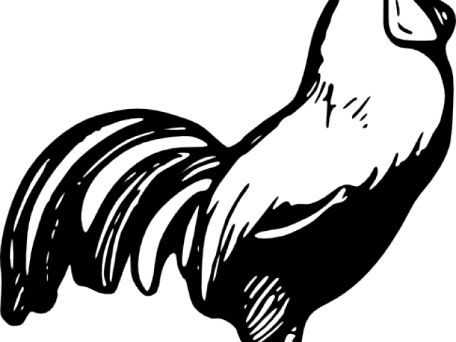 Rooster Silhouette Cliparts - Cock A Doodle Doo Coloring Page (640x480), Png Download