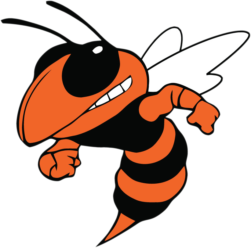 Beech Grove Hornets - Booker T Washington High School Logo (822x813), Png Download