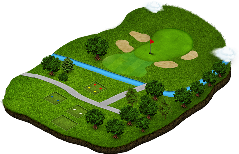Tree (785x531), Png Download