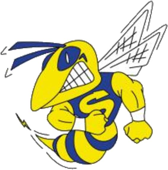 Saline High School Hornets (720x631), Png Download