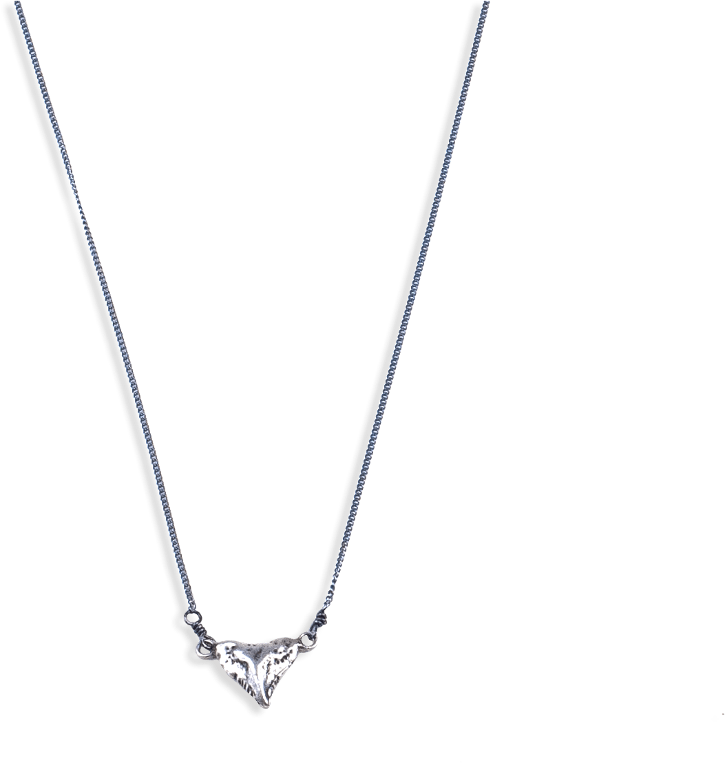The Ocean Republic Small Shark Tooth Necklace Silver - Necklace (1444x1444), Png Download