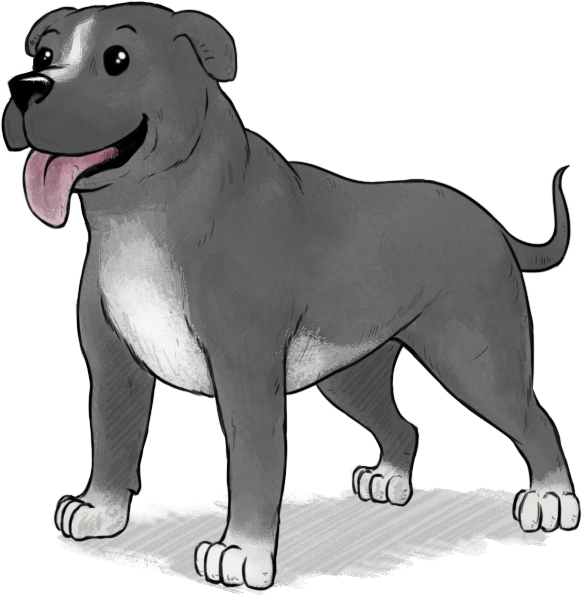Medium Dog - Pit Bull (3000x2573), Png Download