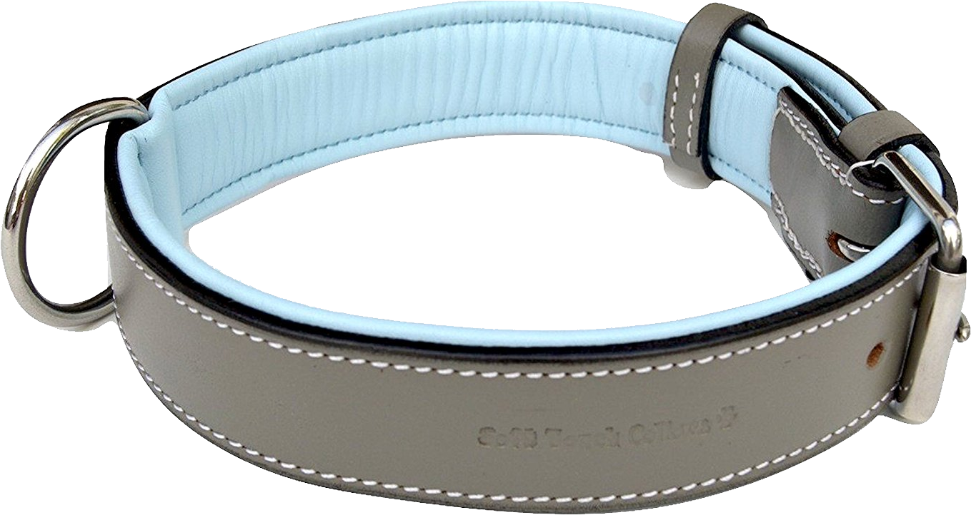 Dog Collar Png - Collar (1359x722), Png Download