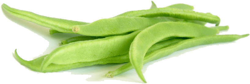 Free Png Green Beans Png Images Transparent - Flat Beans Png (850x567), Png Download