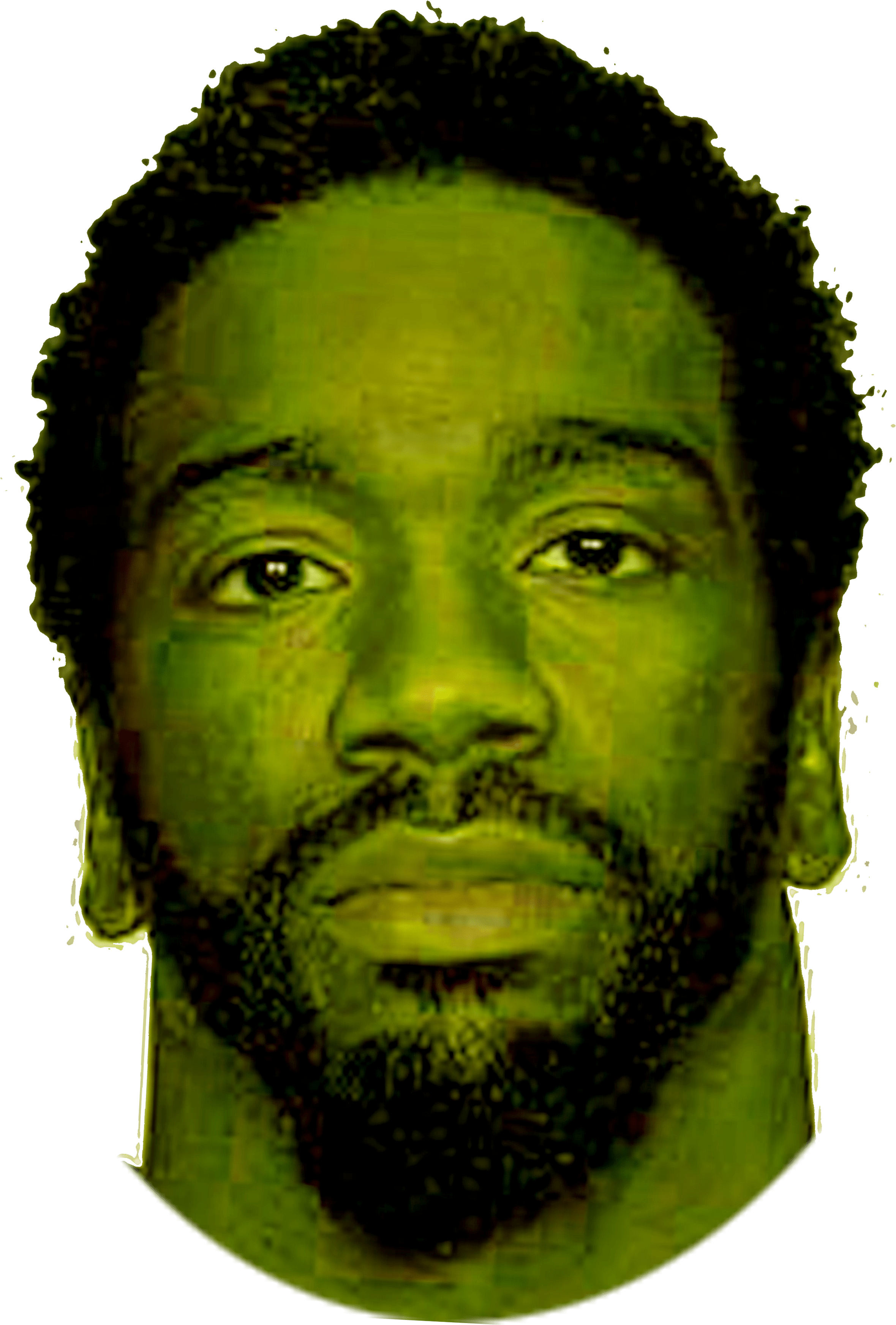 Ray Lewis Ed Reed - Self-portrait (3000x3500), Png Download