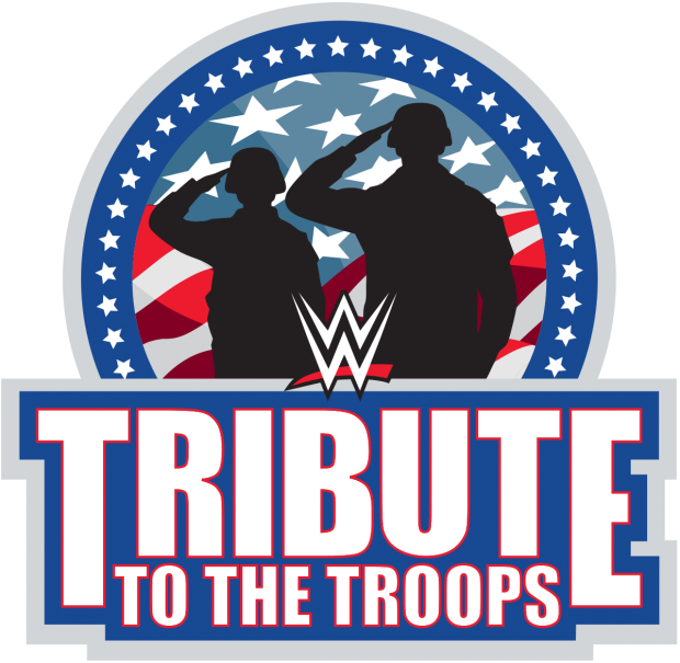 Tribute To The Troops - Wwe Tribute To The Troops Logo (620x605), Png Download