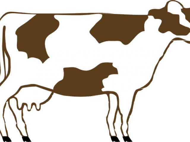 Cow Silhouette Cliparts - Cow Clip Art (640x480), Png Download