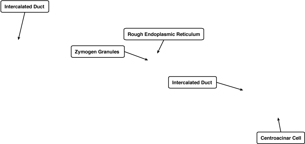 Diagram (1024x768), Png Download