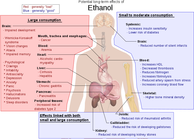Better Diagram Of Alcohol Health Problems - Effects Of Ethanol (800x571), Png Download