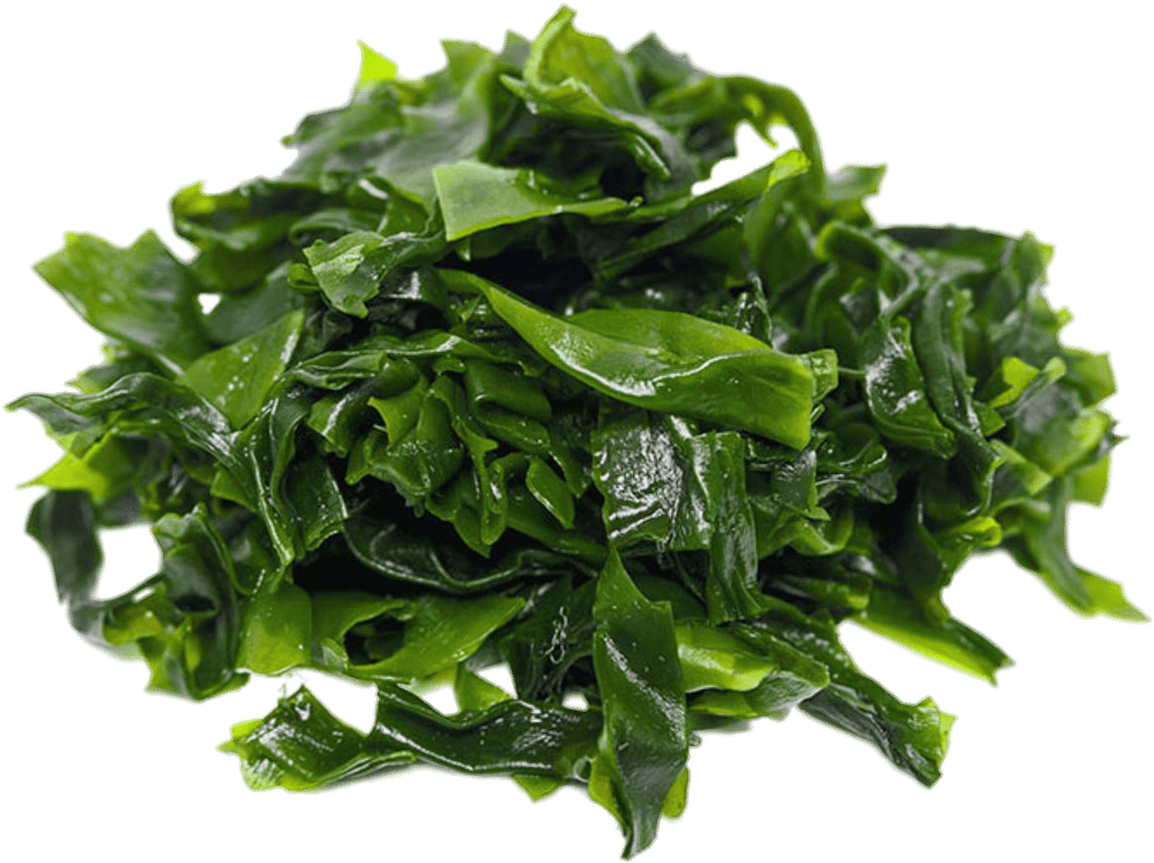 Download - Kleidung In Der Zukunft (1200x935), Png Download